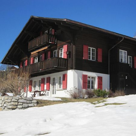 Chalet Aiiny Grindelwald Esterno foto