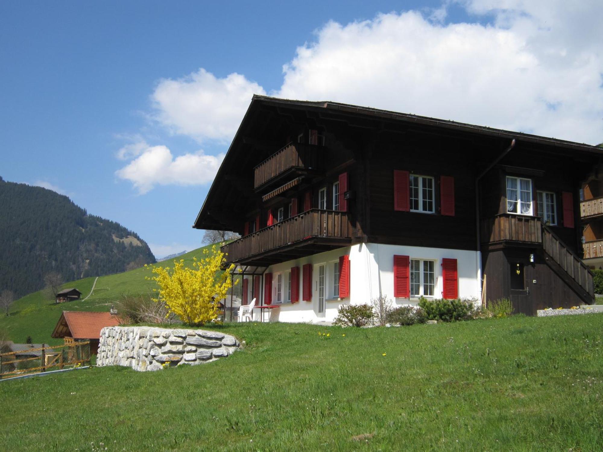 Chalet Aiiny Grindelwald Esterno foto